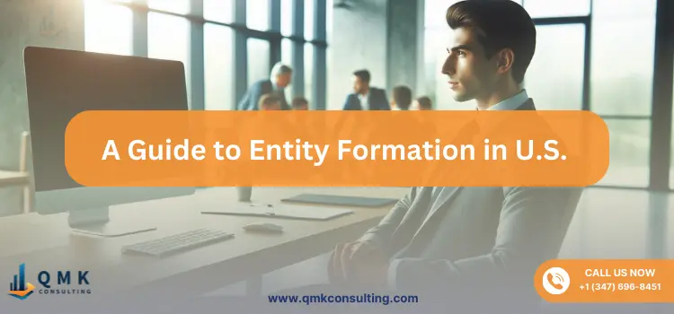 A Guide to Entity Formation in U.S. For CEOs