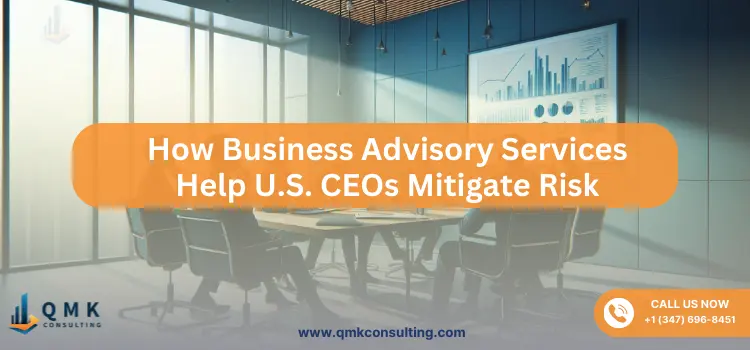 How Business Advisory Services Help U.S. CEOs Mitigate Risk